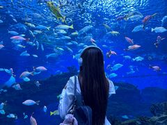 -海合安成都极地海洋公园