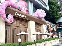 -帕帕拉兹宠物(亚洲旗舰店)