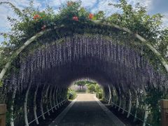 -同里国家湿地公园