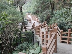 -广州市帽峰山景区