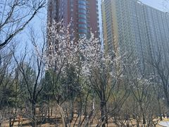 -迎泽公园