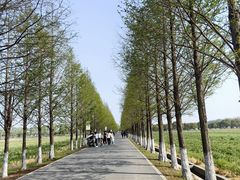 -嘉北郊野公园