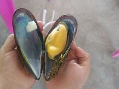 -浪琴湾尾角仔海鲜坊