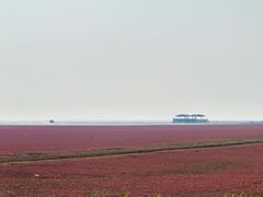 -盘锦红海温泉乐园