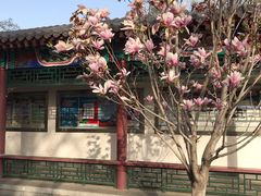 -丰台花园