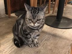 -小时光咖啡馆(北锣鼓巷店)