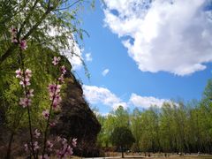 -仙居谷风景区