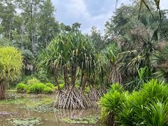 -中国科学院西双版纳热带植物园