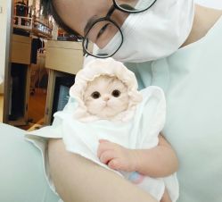 -baby bella小贝拉母婴护理中心(北京东隅店)