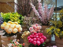 -BEAST野兽派(上海浦东嘉里城店)