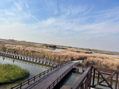 -宁波杭州湾国家湿地公园