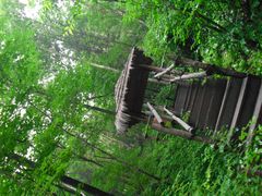 -五营红松林海景区