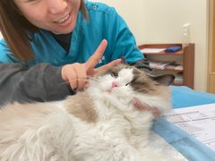 -美迦爱-牙专科·兔科·骨科诊疗中心(北苑店)