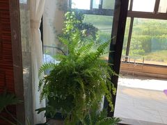 -昆山城市生态森林公园