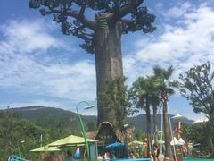 -苏州乐园森林水世界