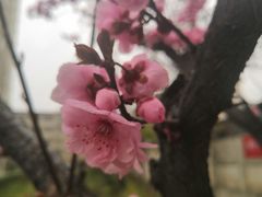 -灞河西岸滨河公园
