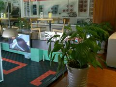 -跃通XPEL超级旗舰店(浦东店)