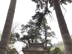 -北京上方山国家森林公园