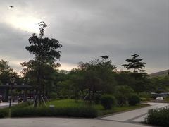 -云溪植物园