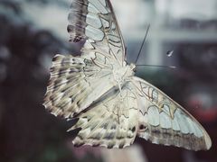 -上海自然博物馆
