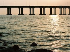 -宝安西湾红树林湿地公园