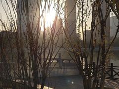 -迎泽公园