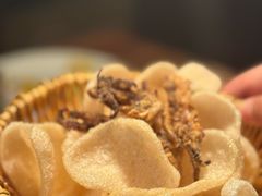 -宝莱纳啤酒花园餐厅PAULANER BRAUHAUS Nanjing(广州路店)