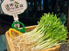 -阳坊涮肉(西直门凯德mall店)