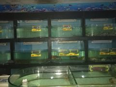 水产区-海通1号(梅峰店)
