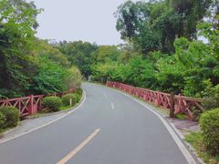 -广州市流溪河国家森林公园