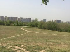 -汉长安城未央宫国家考古遗址公园