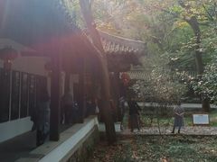 -穹窿山景区