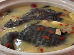 霸王别姬煲-钦善斋(武侯祠店)