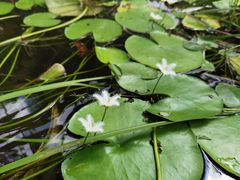 -广州神农草堂中医药博物馆