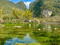 -靖西鹅泉风景区