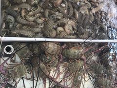-大湾区中央湿地公园-十九涌