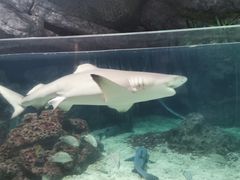 -杭州长乔极地海洋公园
