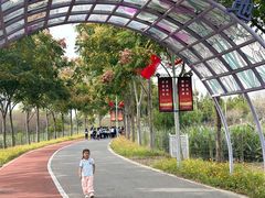 -上海长兴岛郊野公园