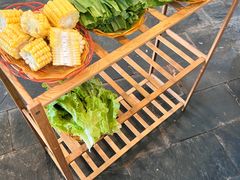 -蘑统田下·野生菌火锅