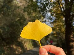 -穹窿山景区