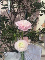 -北京嘉里大酒店·宴会厅婚宴·户外婚礼·生日宴