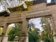 -灵谷景区