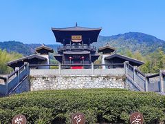 -大唐贡茶院