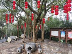 -白云山风景名胜区