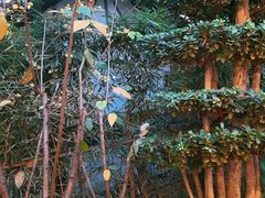 -二荆条·蜀鲜汇城市森林火锅