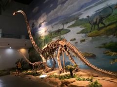 -自贡恐龙博物馆