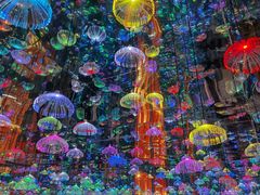 -成都梵高星空艺术馆(春熙路旗舰店)