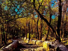 -阳台山自然风景区