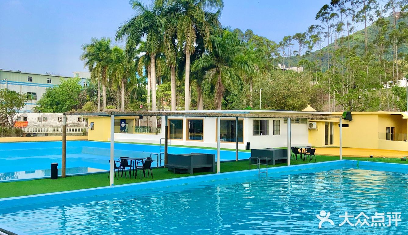 超豪华宠物度假村|五星级体验服务989306