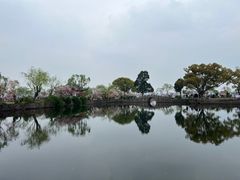 -无锡蠡湖国家湿地公园-蠡园